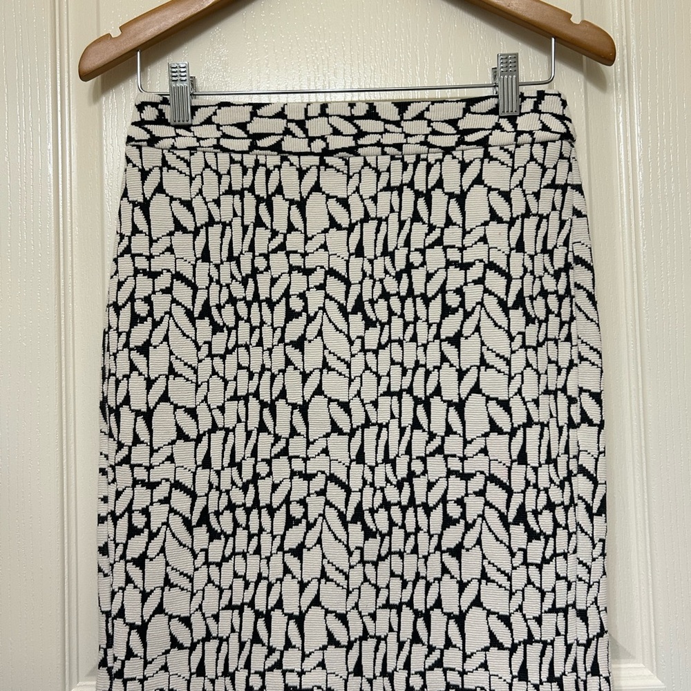 Ann Taylor Petite Women's Skirt